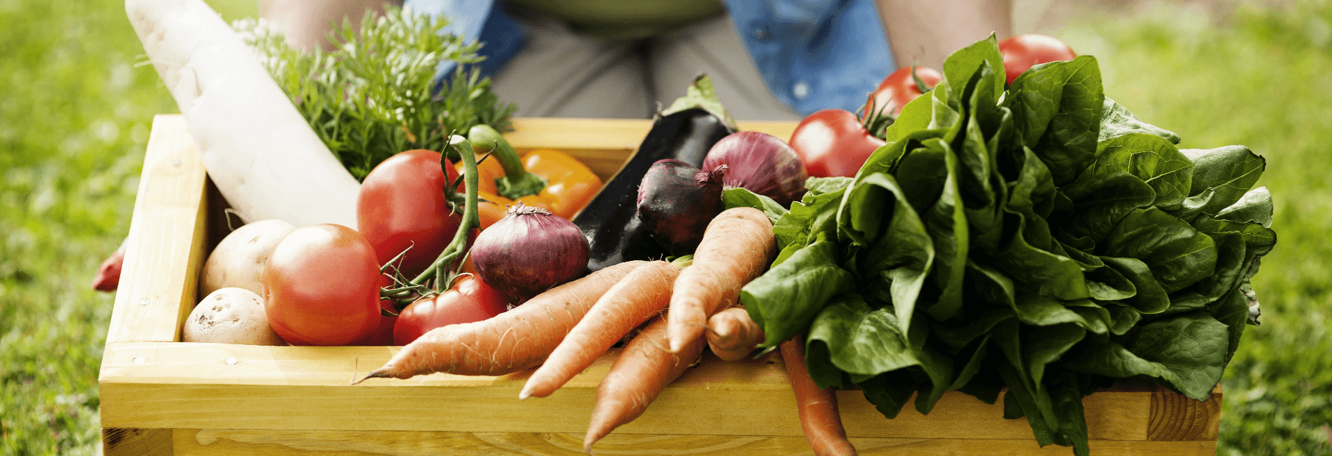 חקלאות עברית